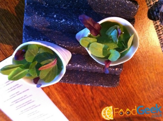 Pea Mousse Crab Calamint