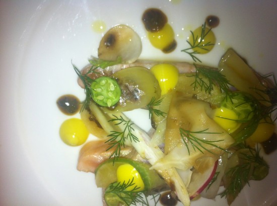 Salmon Cucumber & Radish