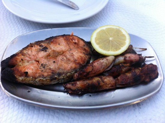 Salmon & Squid