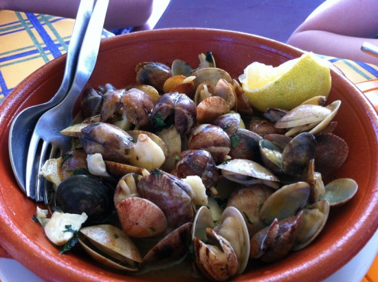 Clams