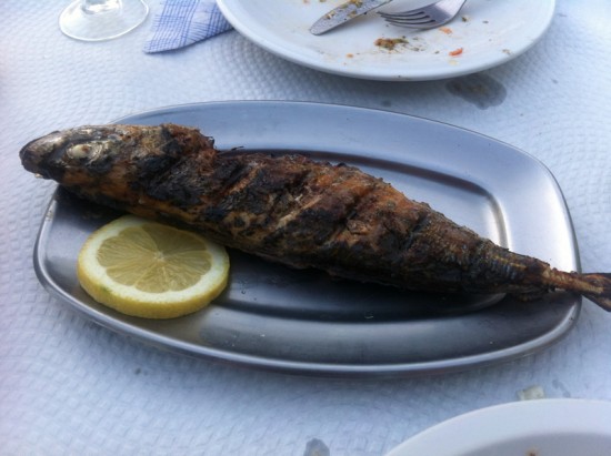 Mackerel