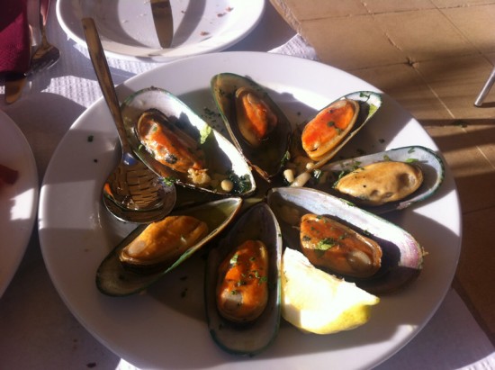 Mussels