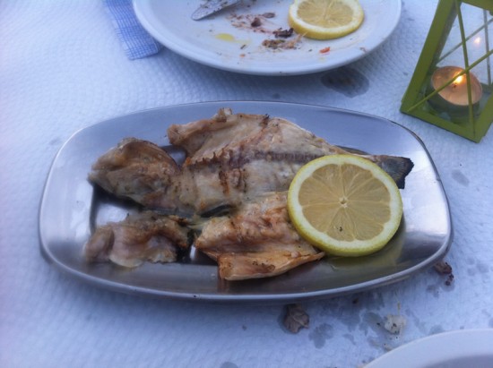 Sea Bass