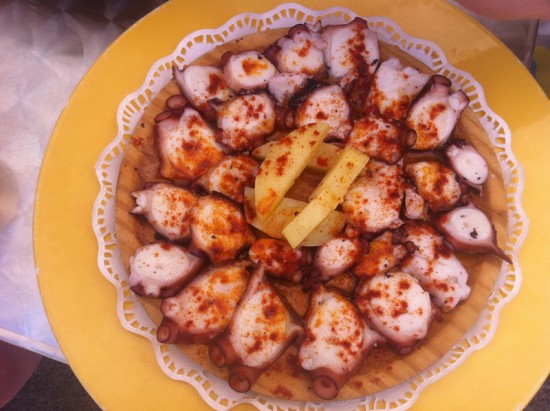 Octopus