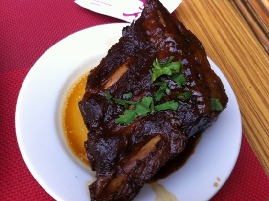 Shalom II Ribs