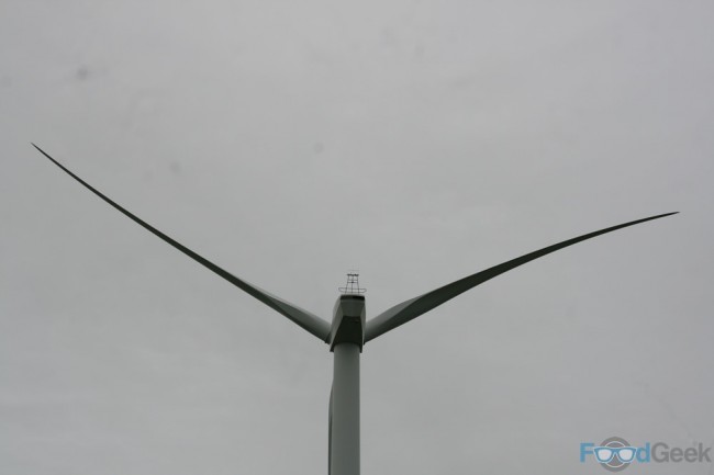 Turbine