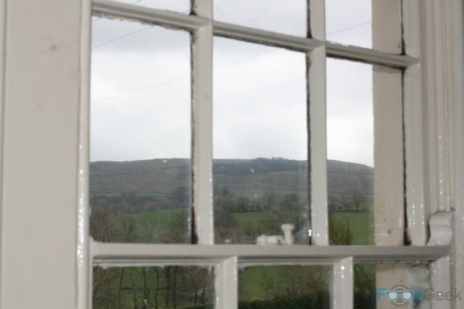 The View