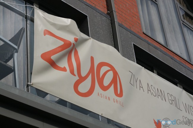 Ziya Banner