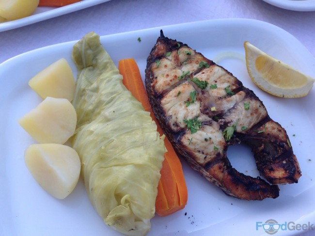 Halibut