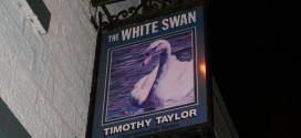 White Swan At Fence