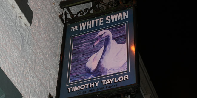 White Swan At Fence